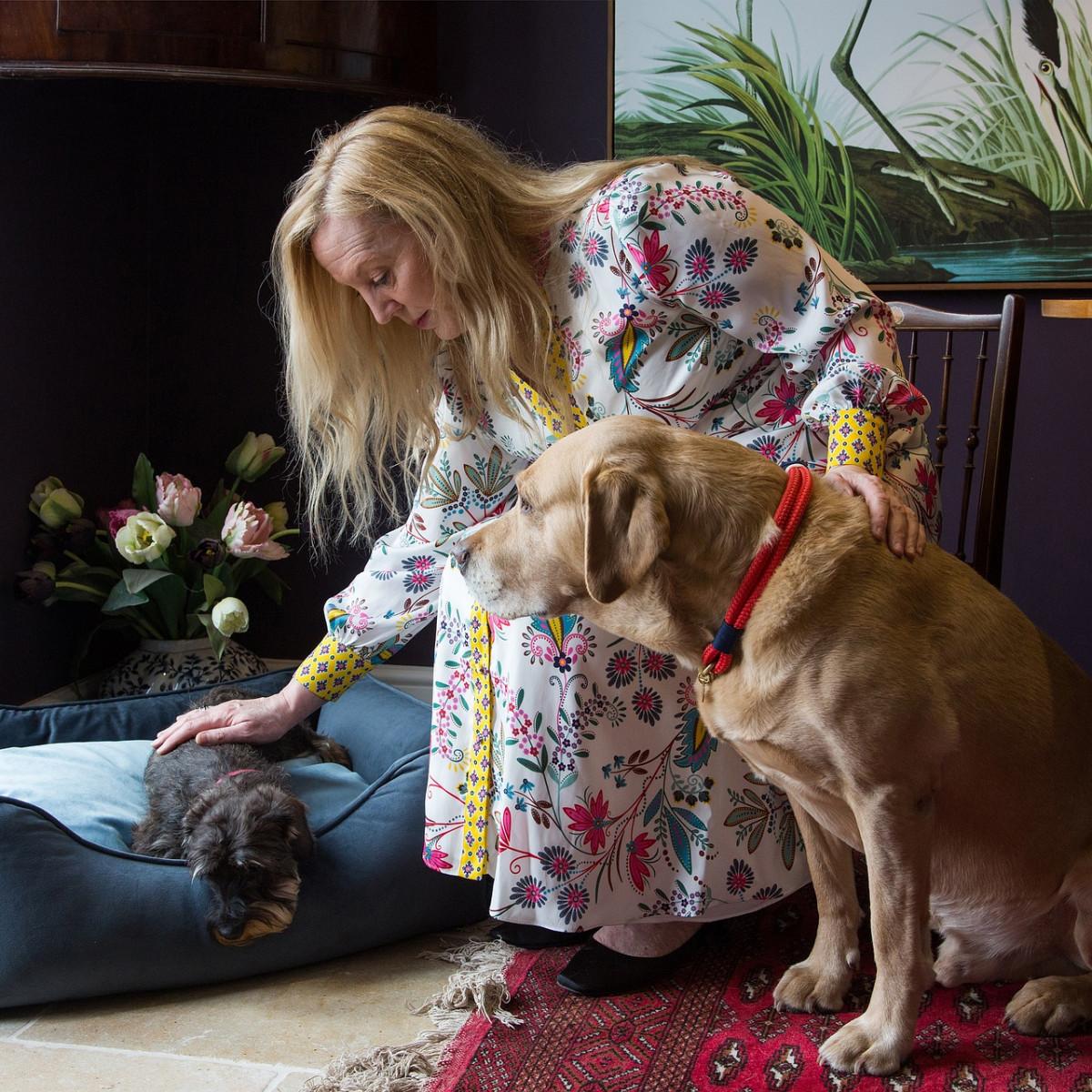 Hund Katze und Dame