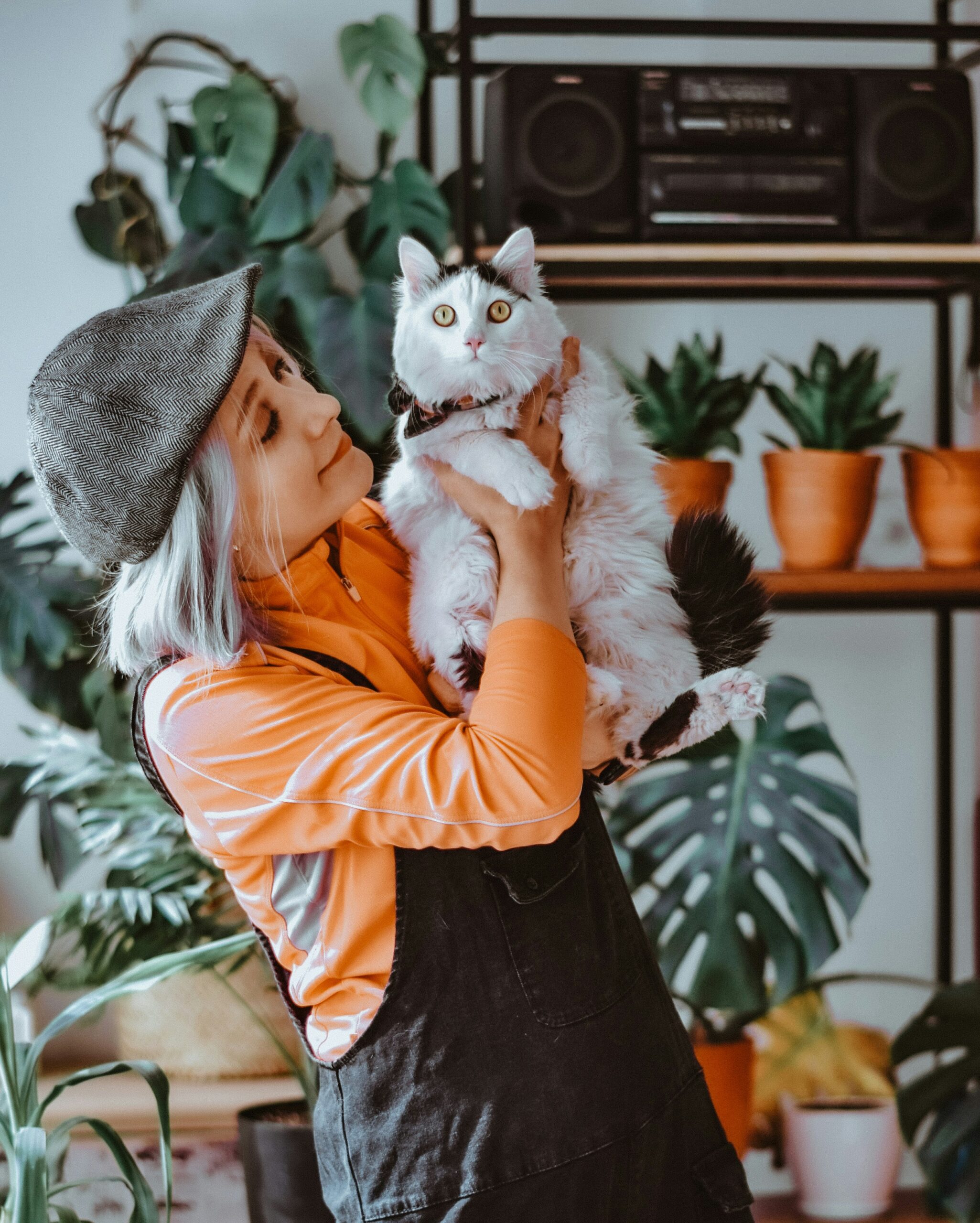Trachealkollaps bei Katzen