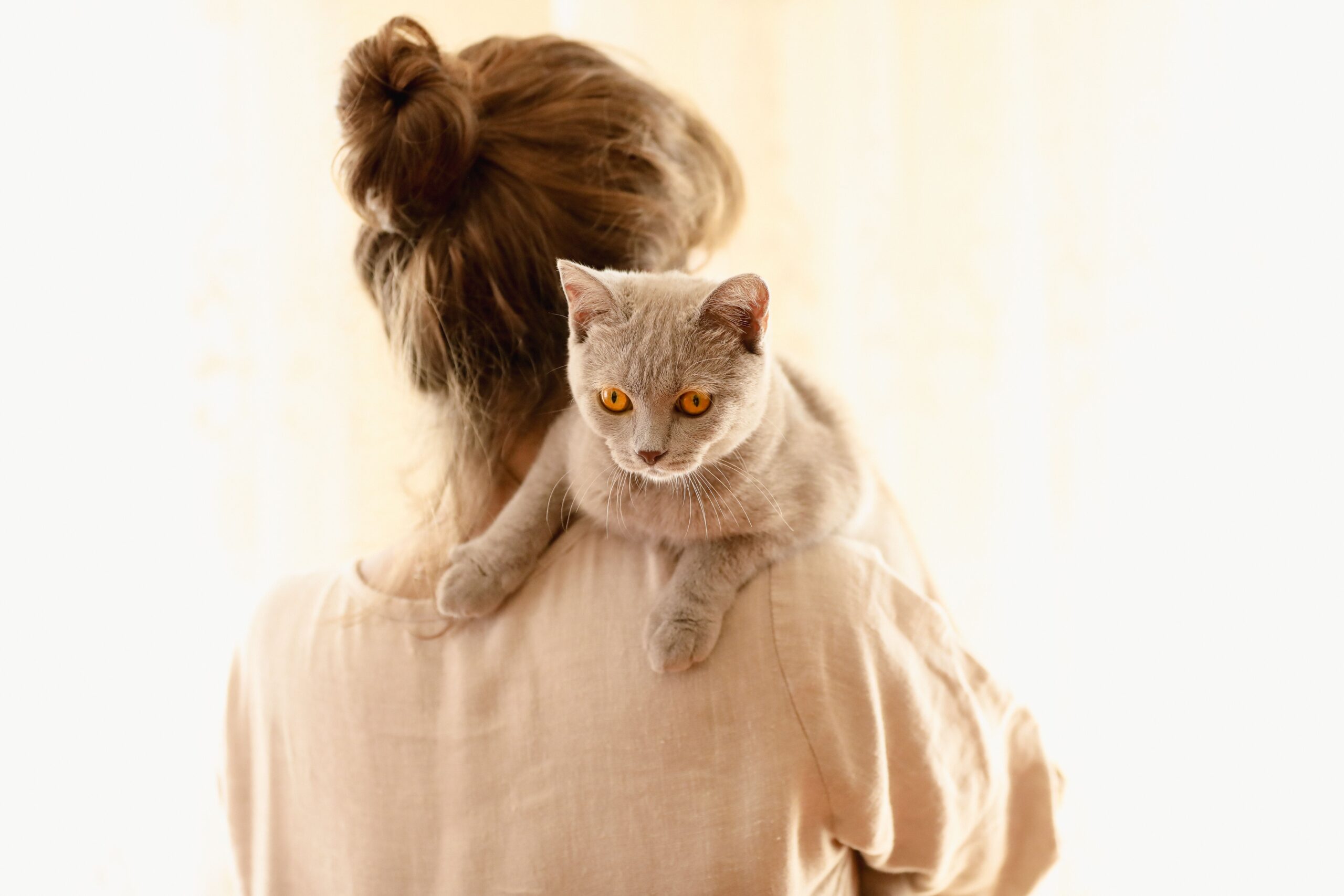 Frau mit Katze – FAQ zur Katzenversicherung, Kosten und Leistungen