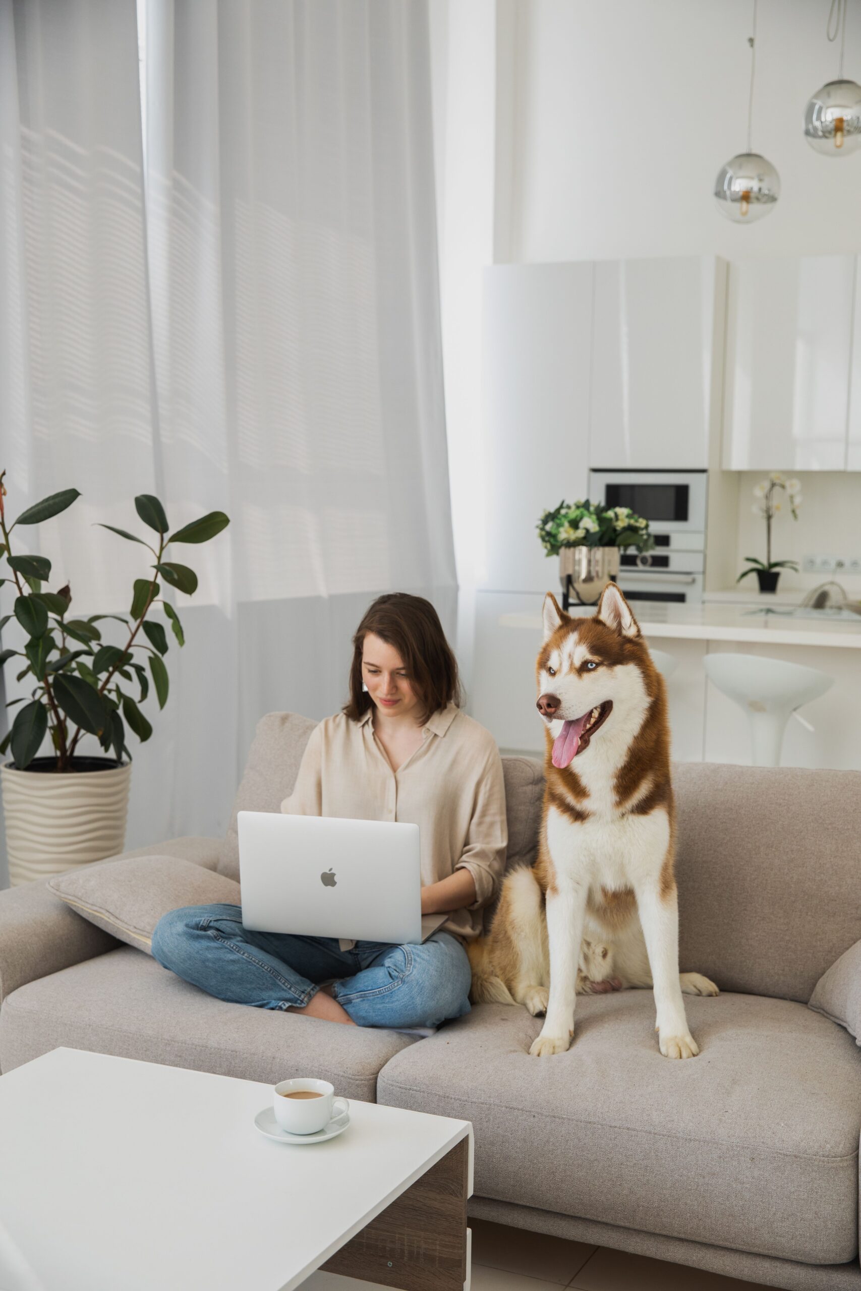 Frau am Laptop mit Husky auf dem Sofa