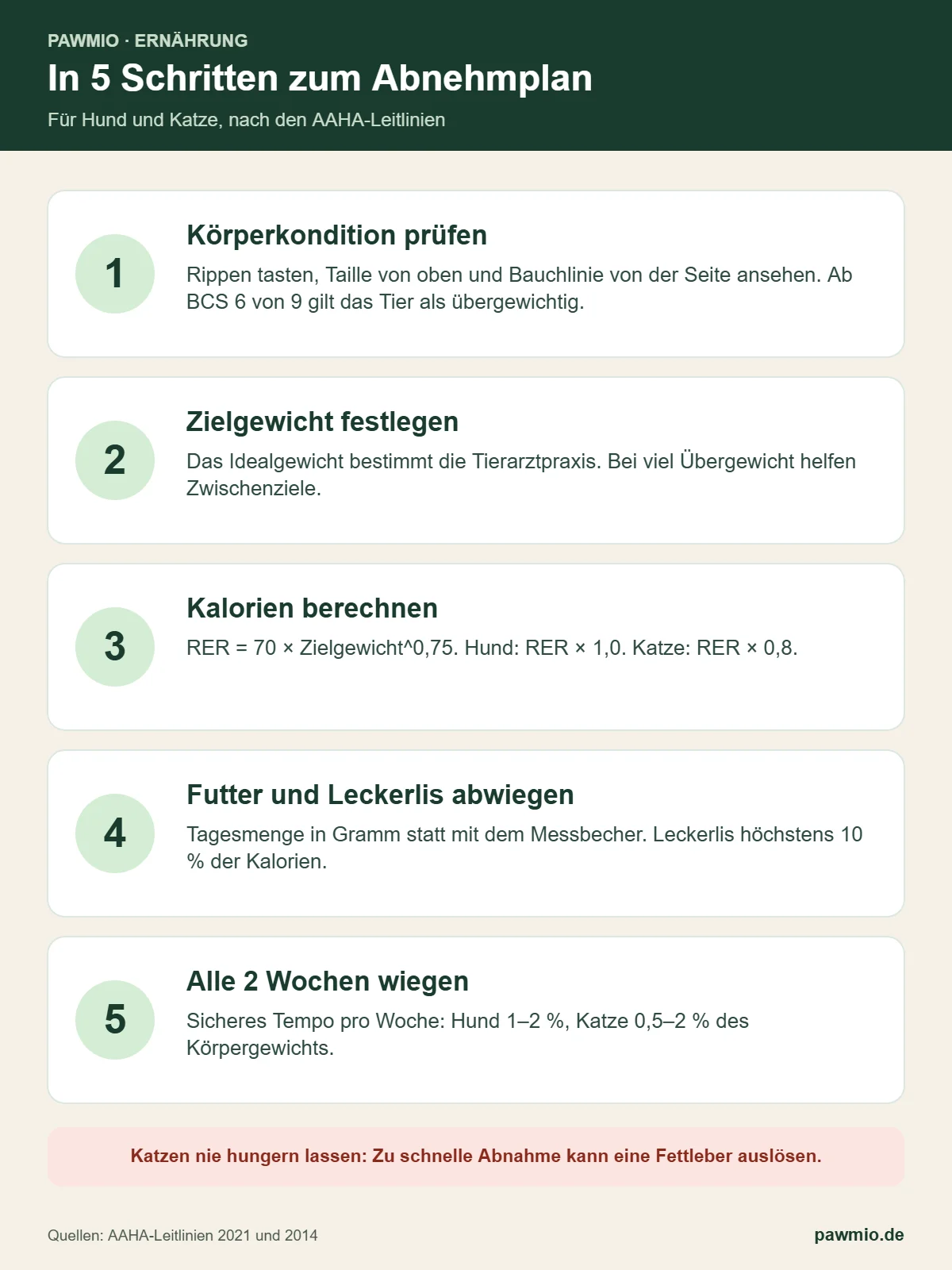 Infografik Abnehmrechner: Abnehmplan für Hund und Katze in 5 Schritten mit Kalorienformel und sicherem Tempo