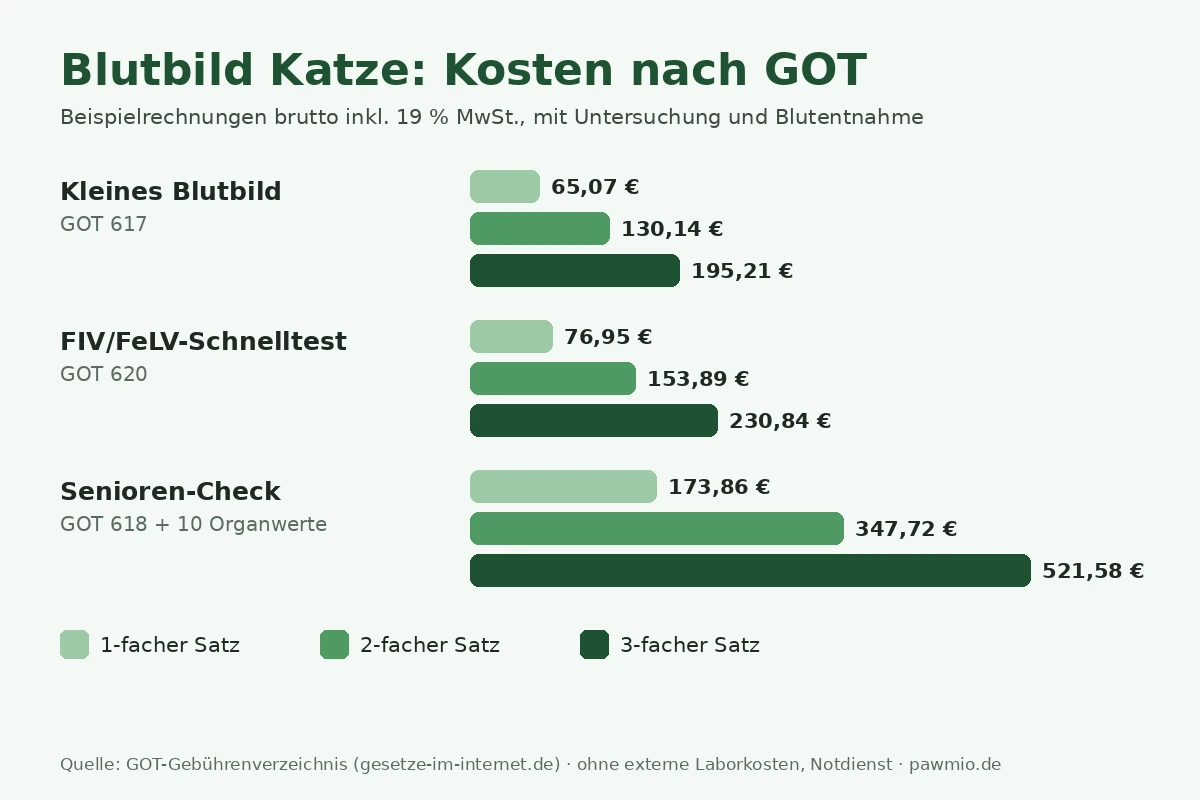 Infografik: Blutbild Katze Kosten nach GOT, kleines Blutbild, FIV/FeLV-Test und Senioren-Check im 1- bis 3-fachen Satz