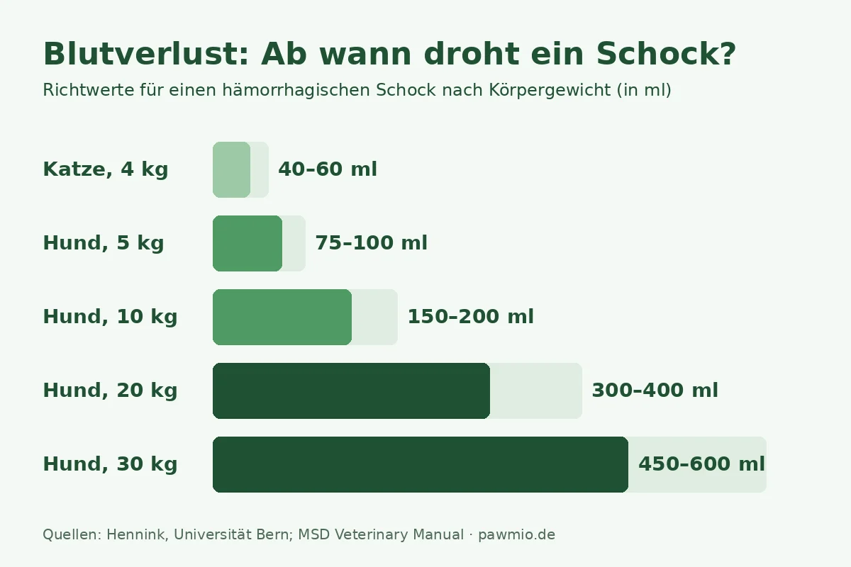 Blutung stillen: Ab welchem Blutverlust droht bei Hund und Katze ein Schock – Richtwerte in ml nach Körpergewicht