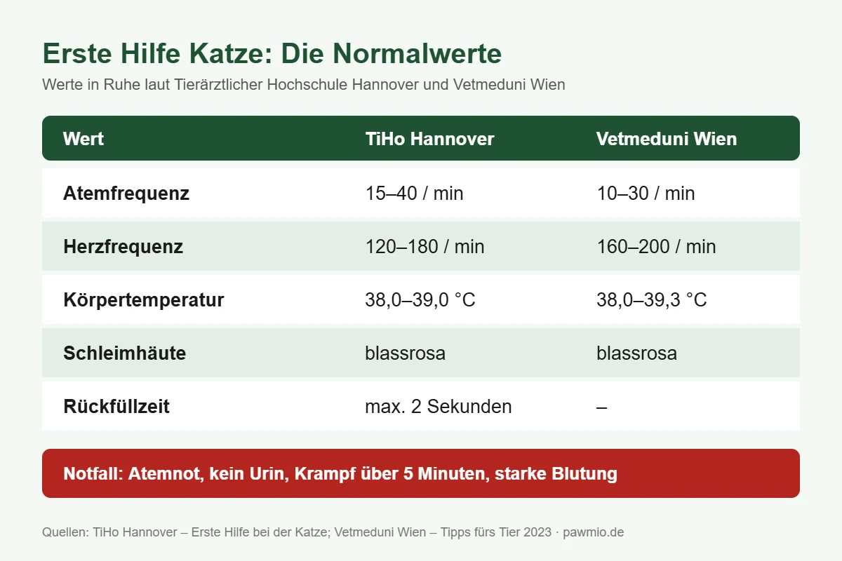 Infografik: Normalwerte der Katze – Atemfrequenz, Herzfrequenz, Körpertemperatur, Schleimhäute und Rückfüllzeit