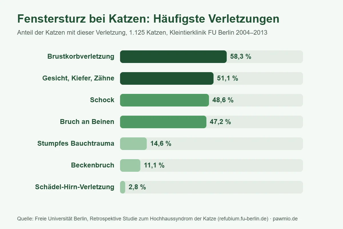 Infografik Katze Unfall: häufigste Verletzungen nach einem Fenstersturz bei 1.125 Katzen der FU Berlin
