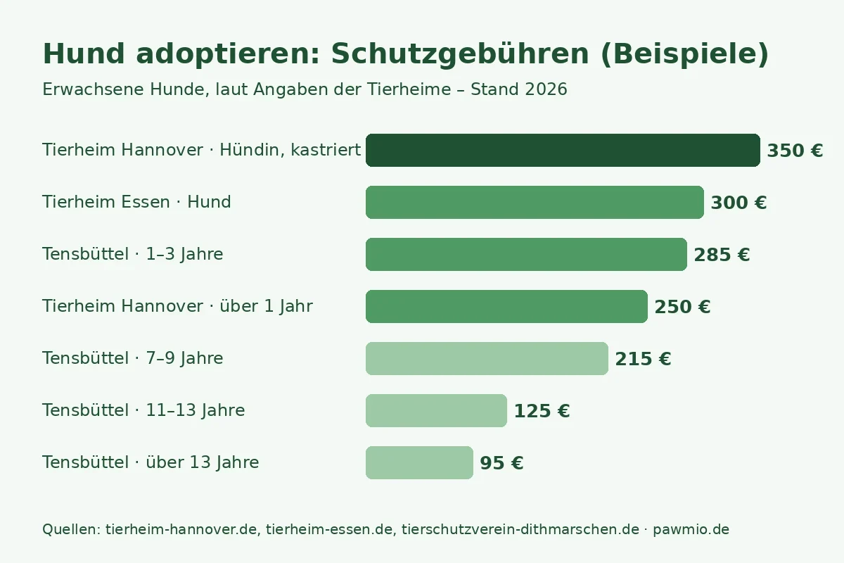 Hund adoptieren: Schutzgebühren erwachsener Hunde in Tierheimen in Hannover, Essen und Tensbüttel