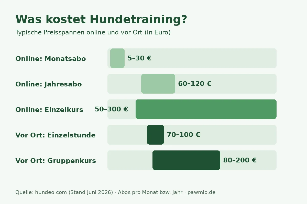 Online-Hundetraining Kosten: Preisspannen für Abo, Einzelkurs und Hundeschule vor Ort im Vergleich
