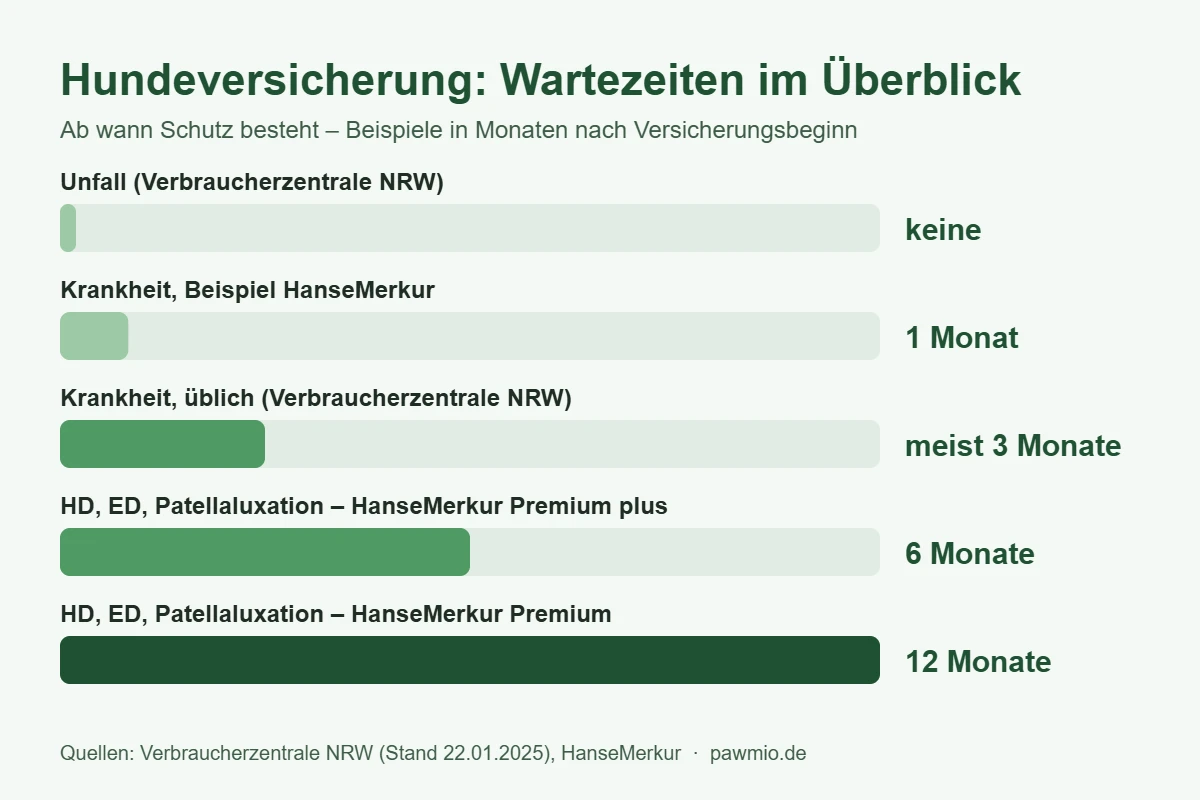 Infografik: Hundeversicherung Vorerkrankung – Wartezeiten von Unfall bis zur besonderen Wartezeit für Gelenkerkrankungen