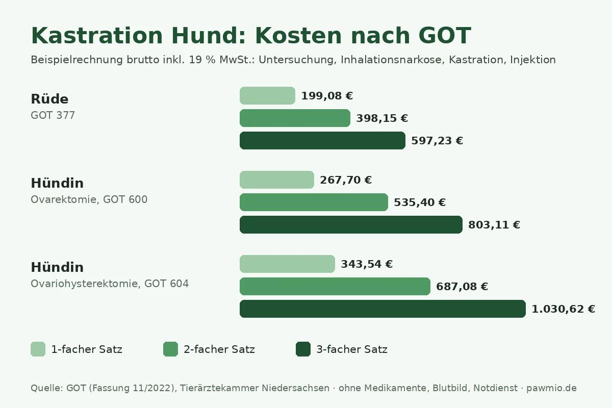 Infografik: Kastration Hund Kosten nach GOT für Rüde und Hündin im 1- bis 3-fachen Satz