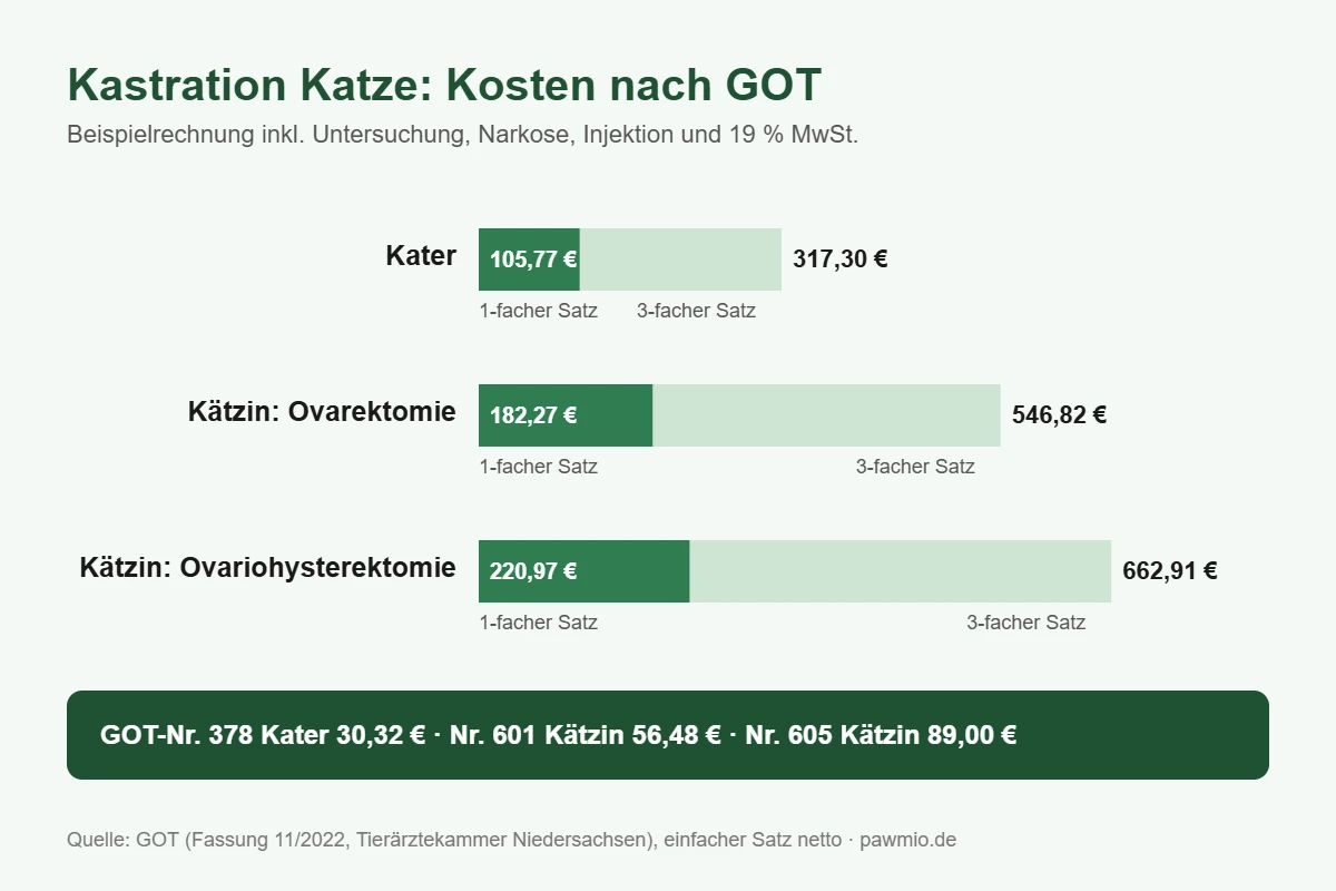 Infografik: Kastration Katze Kosten nach GOT – Kater 105,77 bis 317,30 €, Kätzin 182,27 bis 662,91 € brutto