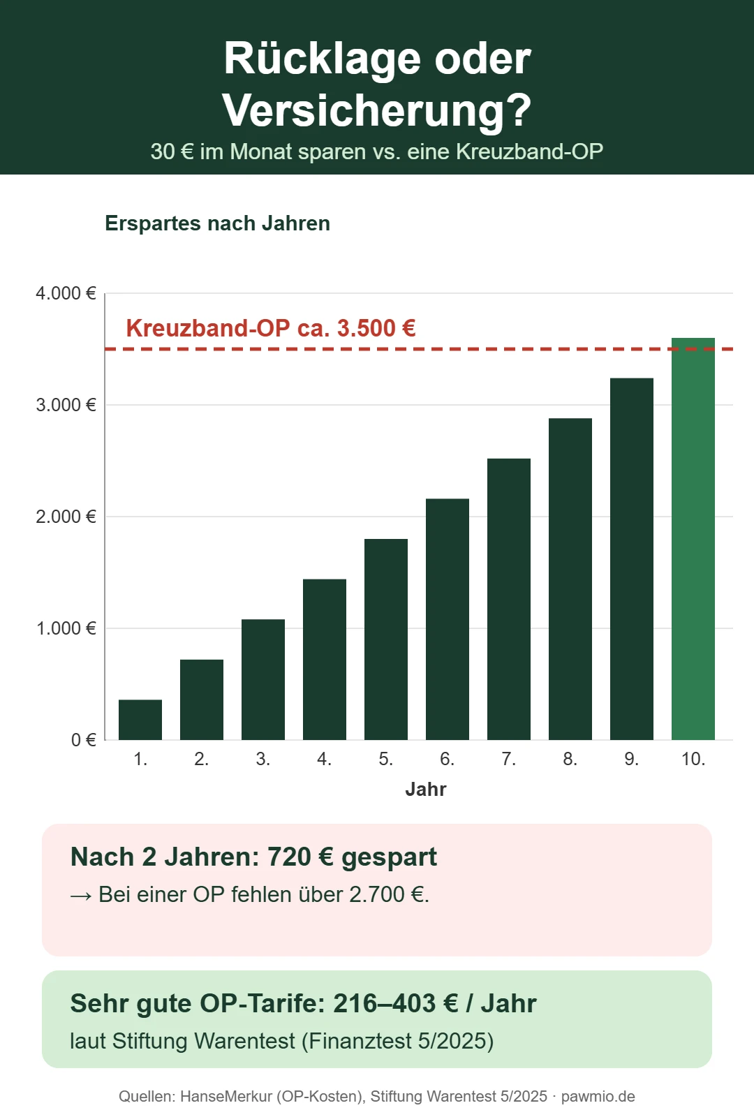 Lohnt sich eine Hundeversicherung: Rücklage von 30 Euro im Monat im Vergleich zu einer Kreuzband-OP für 3.500 Euro