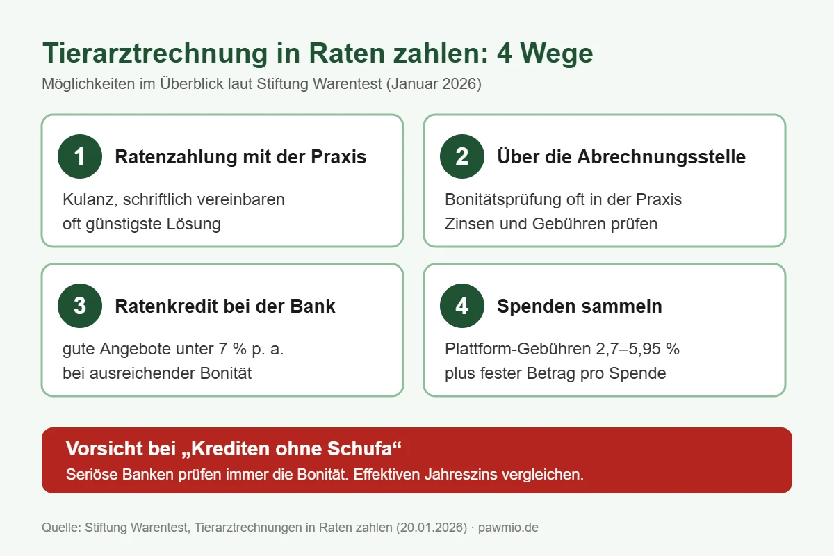 Infografik: Tierarztrechnung in Raten zahlen – vier Wege von der Praxis bis zum Ratenkredit