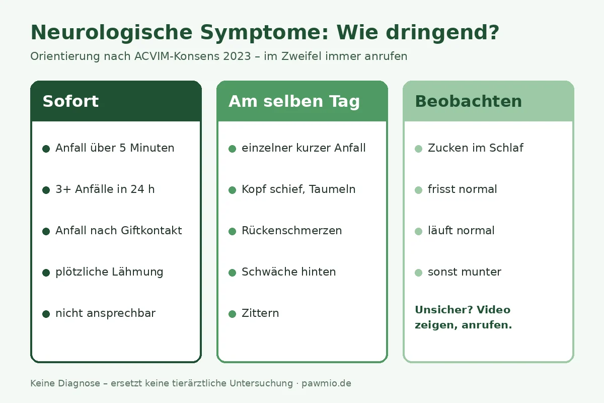 Infografik: Neurologische Symptome – wie dringend? Anfall über 5 Minuten oder 3 Anfälle in 24 Stunden sind ein Notfall