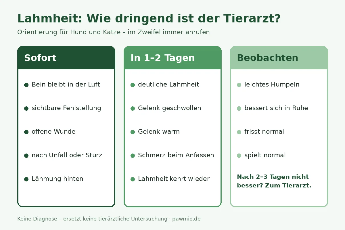 Infografik: Lahmheit – wie dringend ist der Tierarzt? Sofort, in 1–2 Tagen oder beobachten