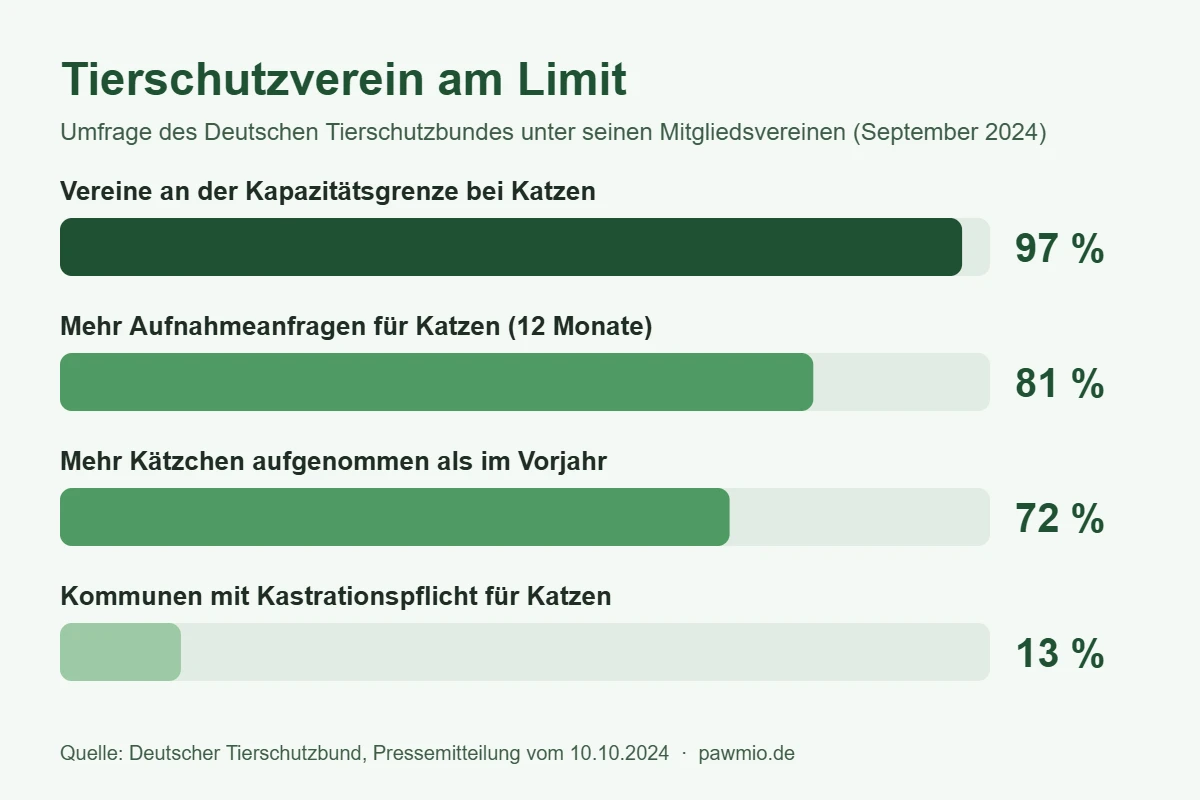 Infografik: Tierschutzverein am Limit – Ergebnisse der Umfrage des Deutschen Tierschutzbundes 2024