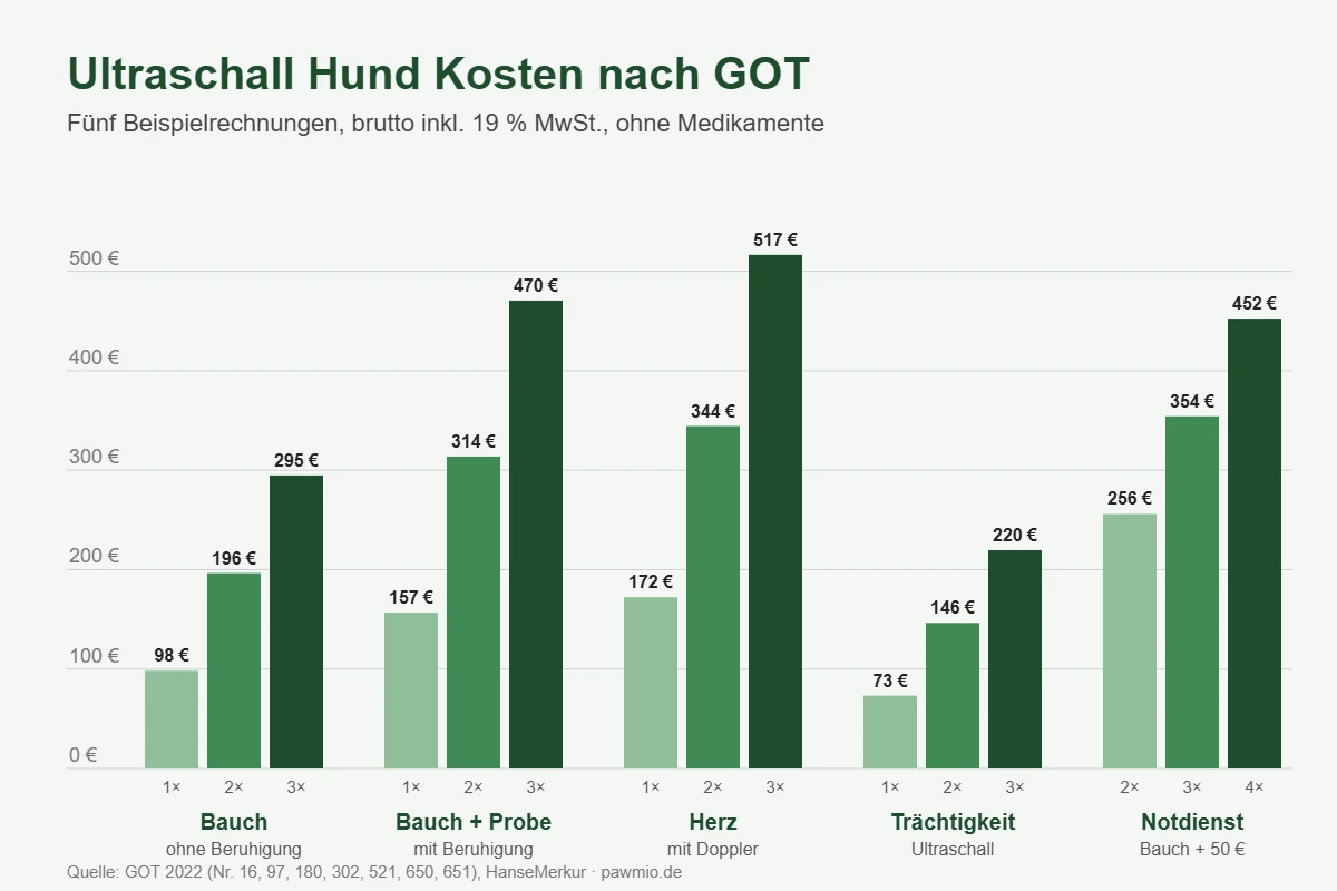 Ultraschall Hund Kosten: fünf Beispielrechnungen nach GOT mit 1- bis 4-fachem Satz