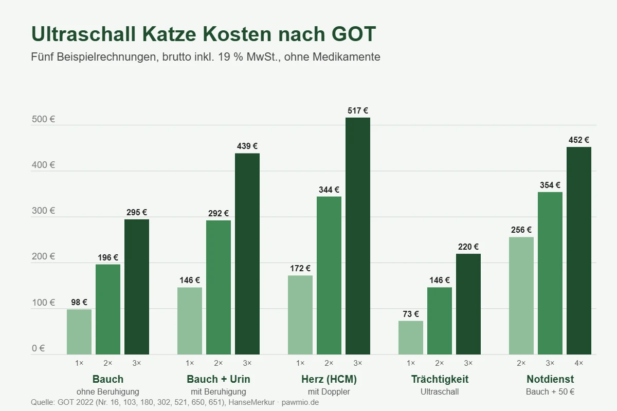 Ultraschall Katze Kosten: fünf Beispielrechnungen nach GOT mit 1- bis 4-fachem Satz