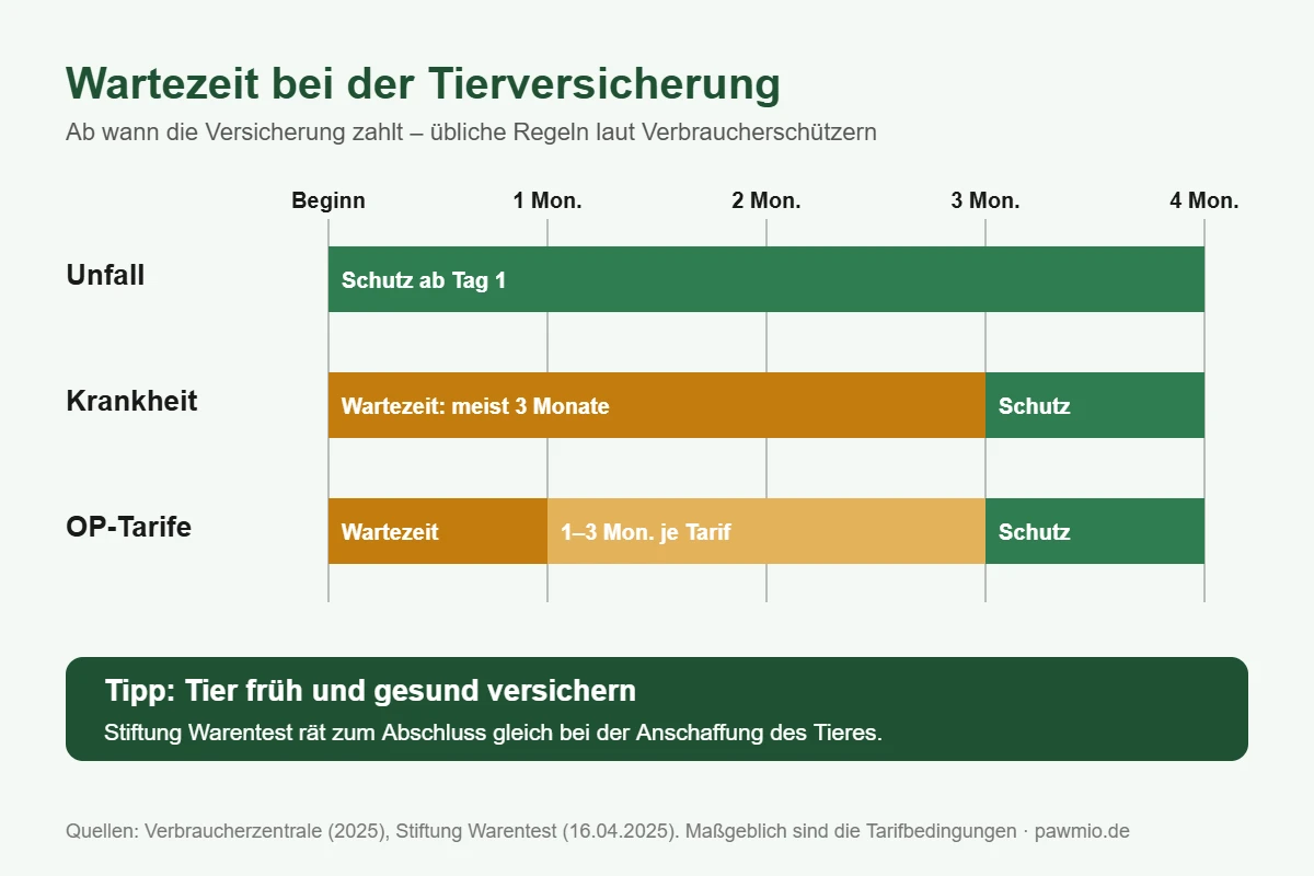 Infografik: Wartezeit bei der Tierversicherung – Unfall sofort, Krankheit meist 3 Monate, OP-Tarife 1 bis 3 Monate