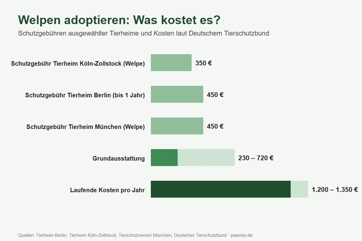 Welpen adoptieren: Schutzgebühren ausgewählter Tierheime und jährliche Kosten eines Hundes