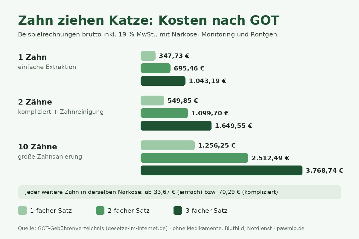 Infografik: Zahn ziehen Katze Kosten nach GOT, ein Zahn, zwei Zähne und große Zahnsanierung im 1- bis 3-fachen Satz