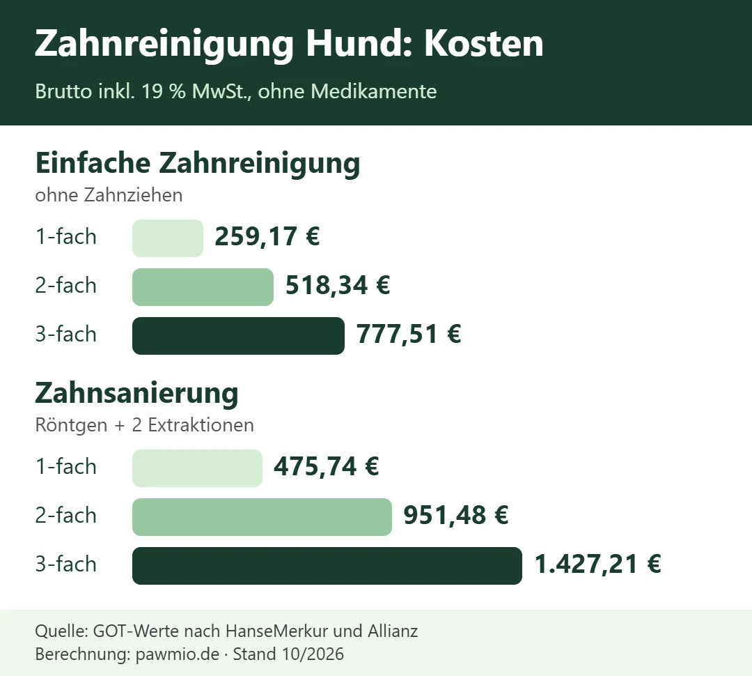Zahnreinigung Hund Kosten: Beispielrechnung nach GOT mit 1-, 2- und 3-fachem Satz