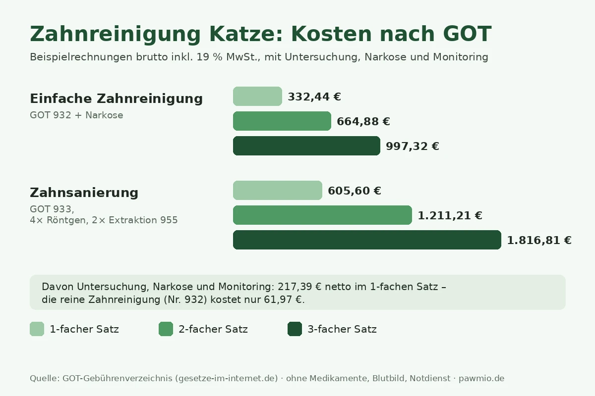 Infografik: Zahnreinigung Katze Kosten nach GOT, einfache Reinigung und Zahnsanierung im 1- bis 3-fachen Satz
